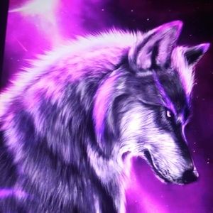 Meet your Posher, Lucy